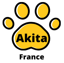 Akita france